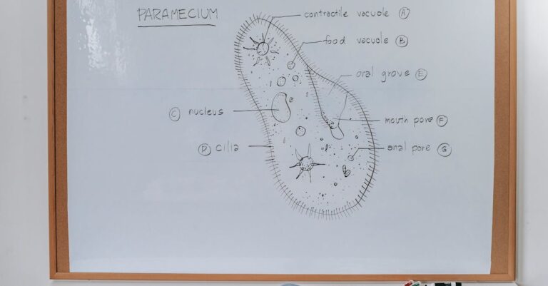 markers-for-maps-in-data-science